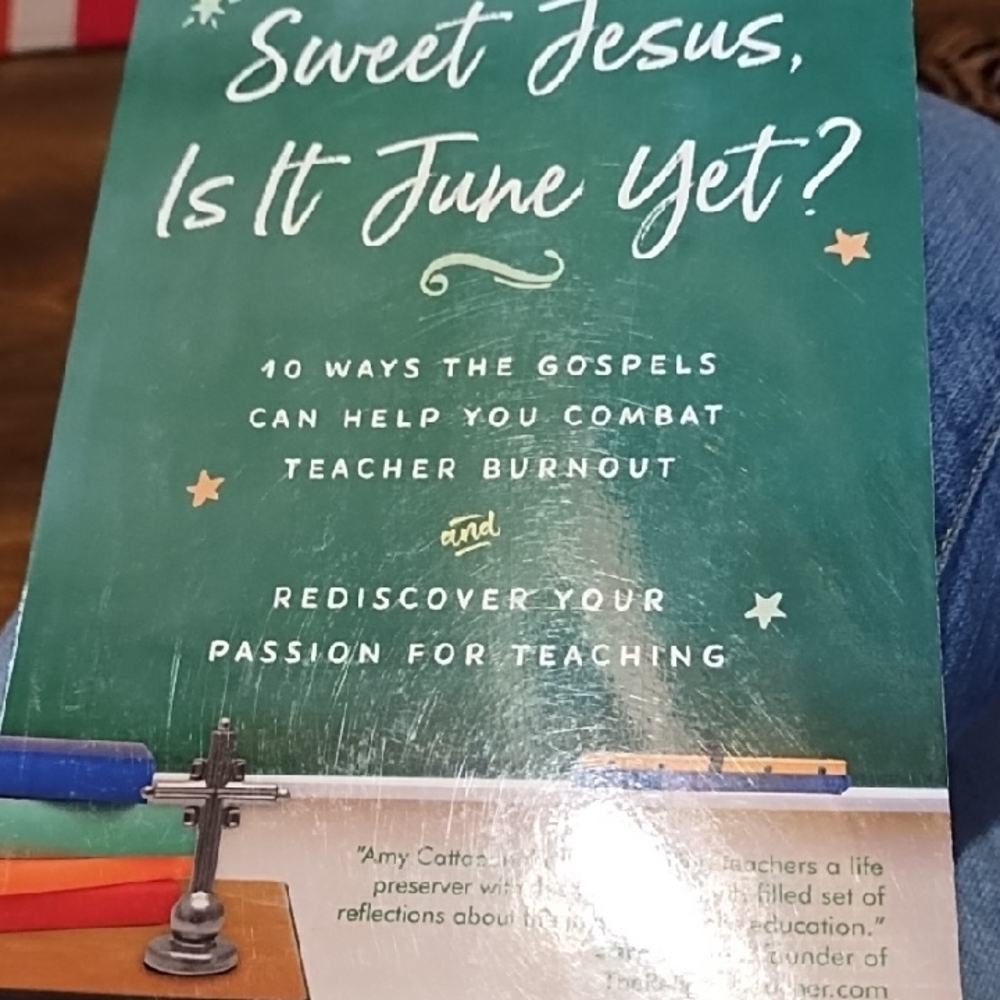 Sweet Jesus, Is It June Yet? Book Of Self Help For Teachers VGC Paperback.